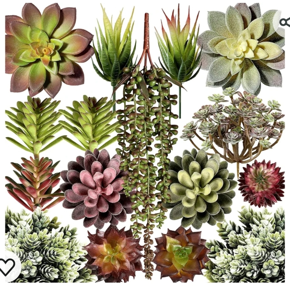 Artificial succulents